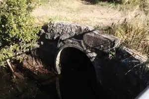 2025-06-30 Scarborough Park - IMG_2929_compressed_q50.webp